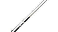 Lanseta Daiwa BG Offshore Boat, 2.40m, 150-400g, 2 tronsoane