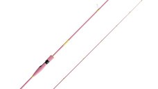 Lanseta Delphin QUEEN Spin, 2.10m, 2-10g, 2 tronsoane