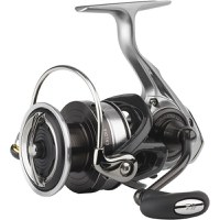 Mulineta Daiwa Caldia LT 1000S-P - 3