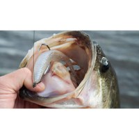 Shad Jackall Rhythm Wave, Sexy Albino, 9.6 cm, 7 buc - 2