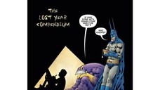 Batman Maxx Arkham Dreams Lost Year Compendium