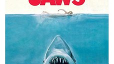 Jaws