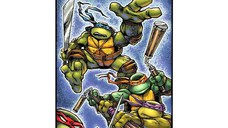 TMNT 40th Anniv Comics Celebration Dlx Ed HC