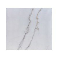 Gresie portelanata Carrara White 55 x 55 - 1