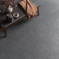 Gresie portelanata rectificata Benelux Grey 60 x 60 x 2 mata - 5