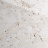 Gresie portelanata rectificata Era Stone White Endless 60X120 lucioasa - 1