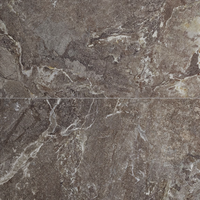 Gresie portelanata rectificata Snake Stone Bronze 60X120 mata - 1