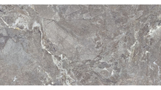 Gresie portelanata rectificata Snake Stone Grey  60X120  mata