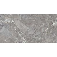 Gresie portelanata rectificata Snake Stone Grey  60X120  mata - 1