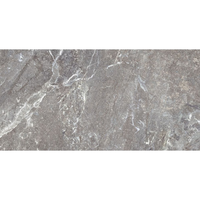 Gresie portelanata rectificata Snake Stone Grey  60X120  mata - 5