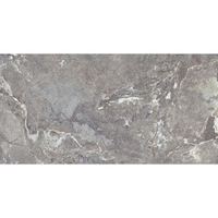 Gresie portelanata rectificata Snake Stone Grey  60X120  mata - 6