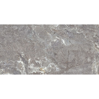 Gresie portelanata rectificata Snake Stone Grey  60X120  mata - 3