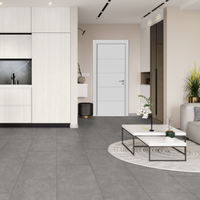 Parchet laminat Stonex Grey Concrete 10 mm Clasa 33 AC5 - 3