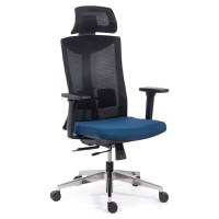 Scaun ergonomic multifunctional SYYT 9501 albastru - 1