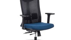 Scaun ergonomic multifunctional SYYT 9501 albastru