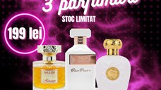 Pachet 3 parfumuri, Fallen Angel + Wujood Rose Poudre + Opulent Musk, 100 ml