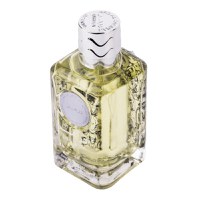 Parfum arabesc Dirham, apa de parfum 100 ml, unisex - 3