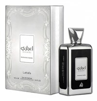 Parfum arabesc Lattafa Ejaazi Silver Intensive, apa de parfum 100 ml, barbati - 2