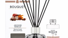 Difuzor parfum camera Maison Berger Ice Cube cu parfum Winter Joy 100ml