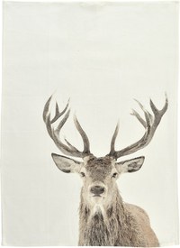 Prosop de bucatarie Sander Kitchen One Deer 50x70cm 40 original - 1