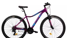 Bicicleta Mtb Terrana 2922 - 29 Inch, M, Violet