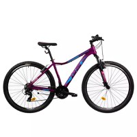 Bicicleta Mtb Terrana 2922 - 29 Inch, M, Violet - 1