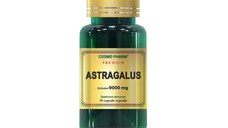 Cosmopharm Premium Astragalus Extract 9000mg, 30 capsule