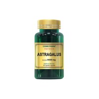 Cosmopharm Premium Astragalus Extract 9000mg, 30 capsule - 1