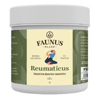 Gel Reumaticus, 250 ml, Faunus Plant - 1