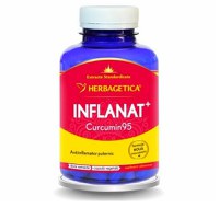 HERBAGETICA Inflanat + Curcumin 95, 120 capsule - 1