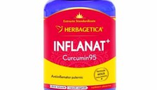 HERBAGETICA Inflanat + Curcumin 95, 120 capsule