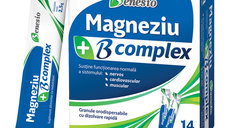 Magneziu B complex, 14 plicuri orodispersabile, Benesio