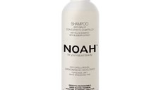 Noah Sampon natural anti-yellow cu extract de afine, 1.9, 250ml