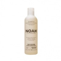 Noah Sampon natural regenerant cu ulei de argan pentru par foarte uscat si tratat (1.4), 250 ml - 1