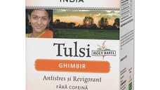 ORGANIC INDIA Ceai Tulsi (Busuioc Sfant) Ghimbir | Antistres Natural si Revigorant