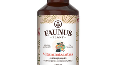 Sirop Vitaminizantus cu Miere si Propolis, 200 ml, Faunus Plant