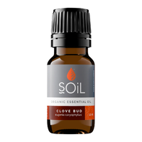 Ulei esential Cuisoare, 10ml, SOiL - 1