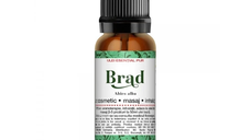 Ulei esential de Brad, 10 ml, Steaua Divina