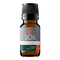 Ulei esential de Pin, 10ml, SOiL - 1