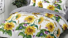 Lenjerie cu Elastic 180x200 Azura 6 Piese (Finet) Sunflower