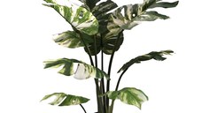 Planta decorativa Monstera I in ghiveci verde plastic PP H90 cm