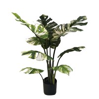 Planta decorativa Monstera I in ghiveci verde plastic PP H90 cm - 1