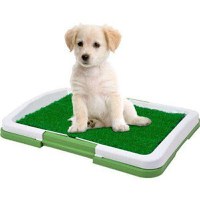 Toaleta cu iarba artificiala pentru animale, Puppy Potty Pad - 1