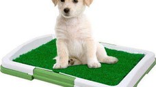 Toaleta cu iarba artificiala pentru animale, Puppy Potty Pad