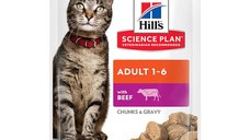 Hill's SP, Vită, plic hrană umedă pisici, (în sos), 85g