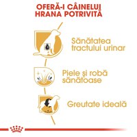 Royal Canin Bichon Frise Adult hrană uscată câine, 1.5kg - 8