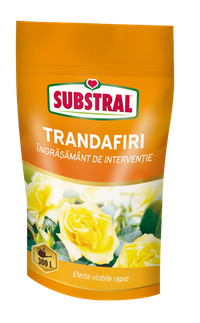 Ingrasamant pentru trandafiri Substral 300 g - 1