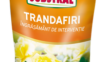 Ingrasamant pentru trandafiri Substral 300 g