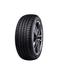 RADAR DIMAX 4 SEASON 205/55 R17 95W XL RUNFLAT - 1