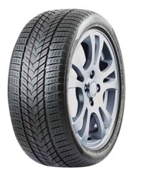 ROADMARCH WINTERX-PRO999 315/40 R21 115H - 1